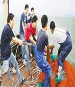 2345_image_file_copy_2