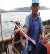 2345_image_file_copy_3