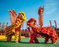 6a9e869f9239f3ae9756bcfdeb2b077