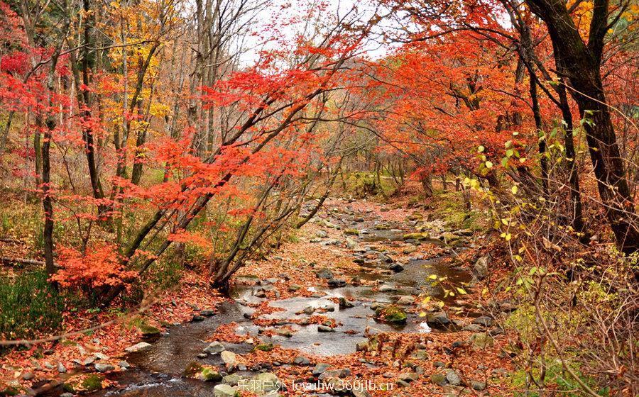 10月07日—09日 醉美枫叶之旅-洋湖沟画家村,老边沟和大石湖及关门山