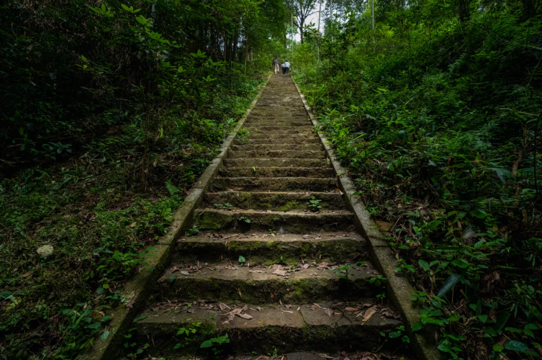 90774a209cf784ca98beb7e05428df0.png