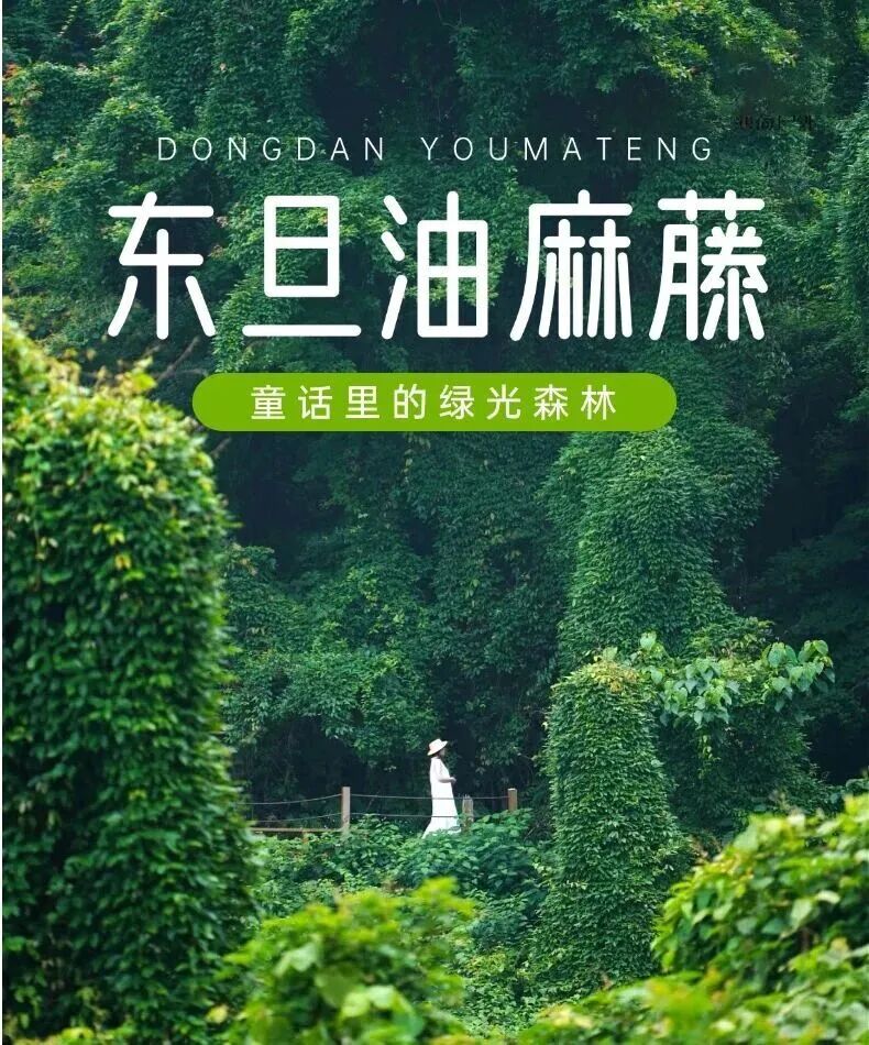 微信图片_2026-09-29_171152_218.jpg