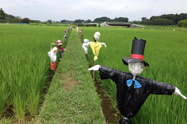 扎手舞脚 扎手舞脚的拼音