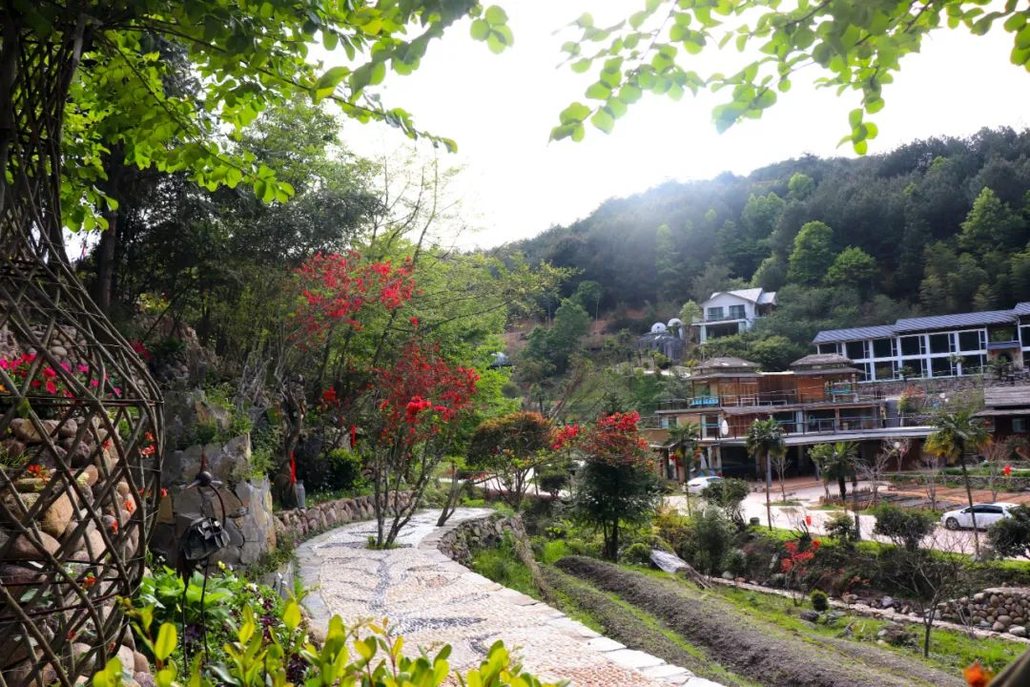 2020年11月8号【金秋钜惠.赏菊游古溪】打卡古溪星河仙手桥休闲一日游