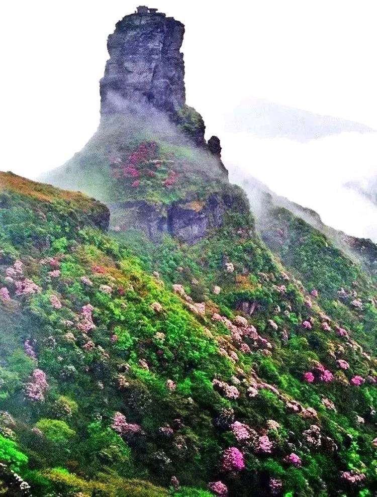【春节四天】世界遗产梵净山 凤凰古城 云舍 湘西风情 苗王城 古苗寨