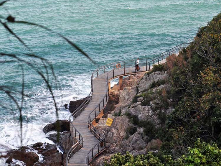 深圳面朝大海走中国最美栈道 漫步盐田栈道 大梅沙徒步一天游-在线