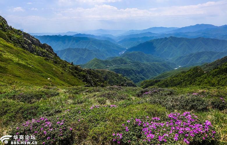 落云户外5月192023日登牛背梁赏高山草甸一日游