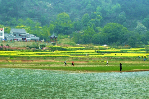 湖北小婺源大冶沼山村图片