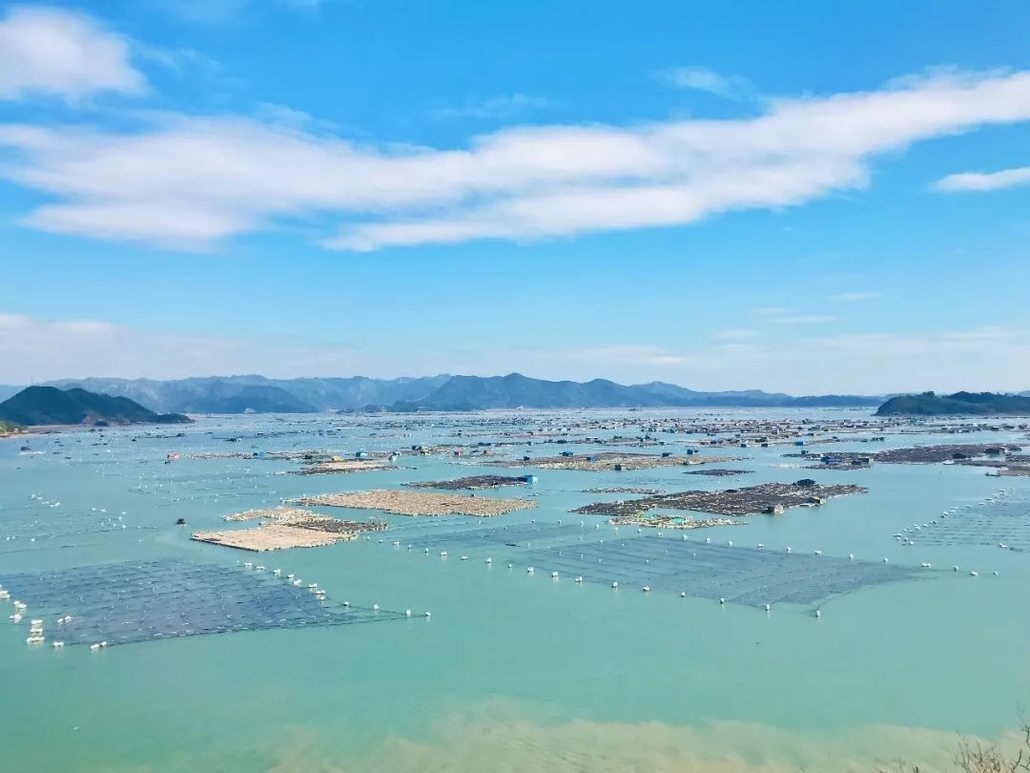 遊記| 國慶霞浦之行--雖然它只是福建的一個小縣城,卻遍地都是美景