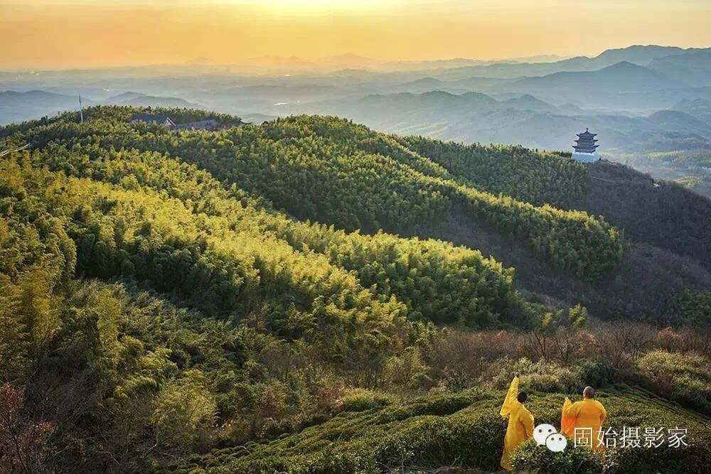 清明d线 ▏ 西九华山森林公园 万亩采茶2日游
