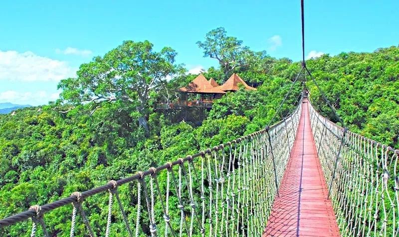 【北纬18度天街 】