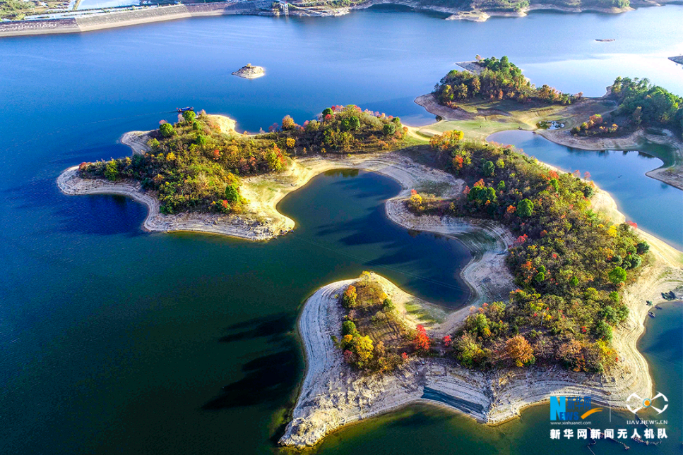 【七星岛水上红叶1日】11月21日(周六) 船游七星湖 登七星岛 网红景点