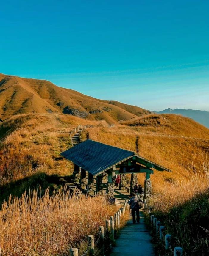 【11月15日晚-17日】无边的草甸之巅,穿云入雾--金色武功山 - 武汉北