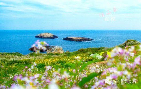 5.18-20渔山岛漫山遍野鲜花,华东最美海岛,让我们面朝大海,春暖花开