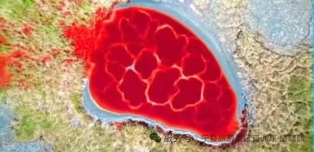 丝路石窟・黄河大漠｜8 天陕甘宁历史文化就、自然风光暨腾格里沙漠五湖连穿