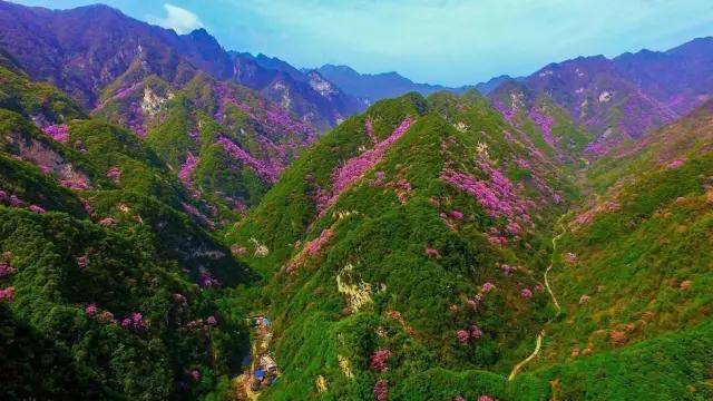 秦岭:中国国家中央公园