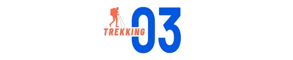 第3