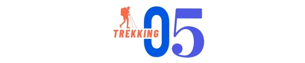 第5