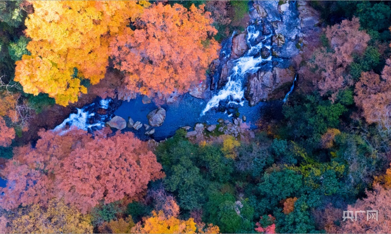 米仓山11