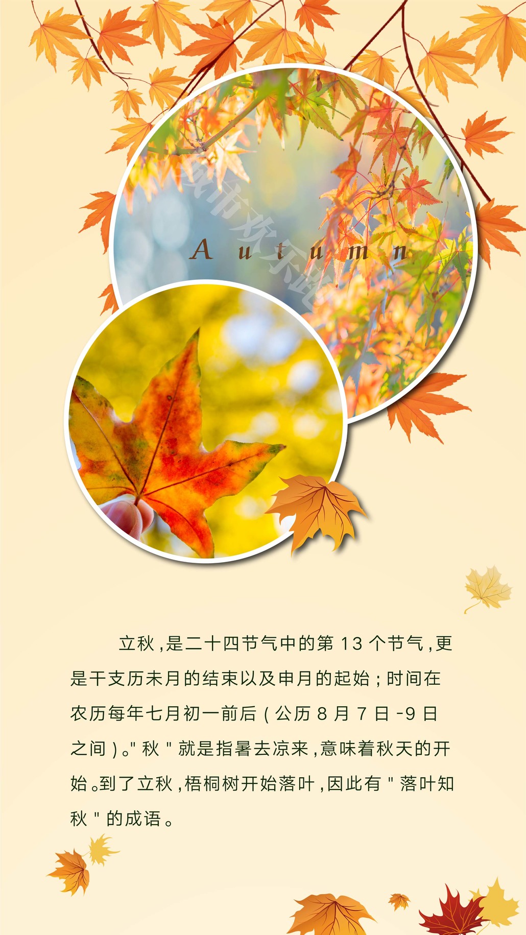 2020立秋线上马拉松