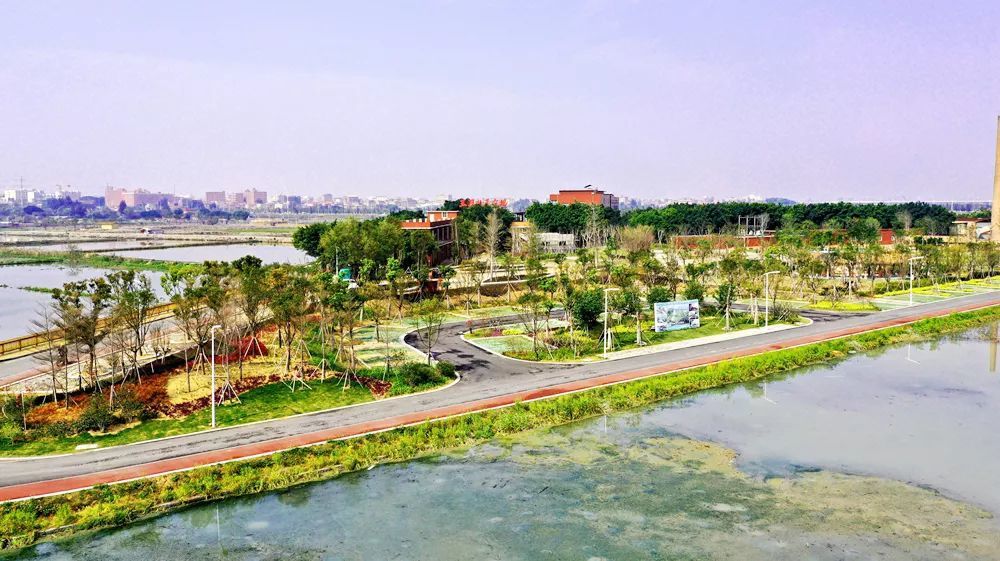 石狮湿地公园端午健步走嘉年华