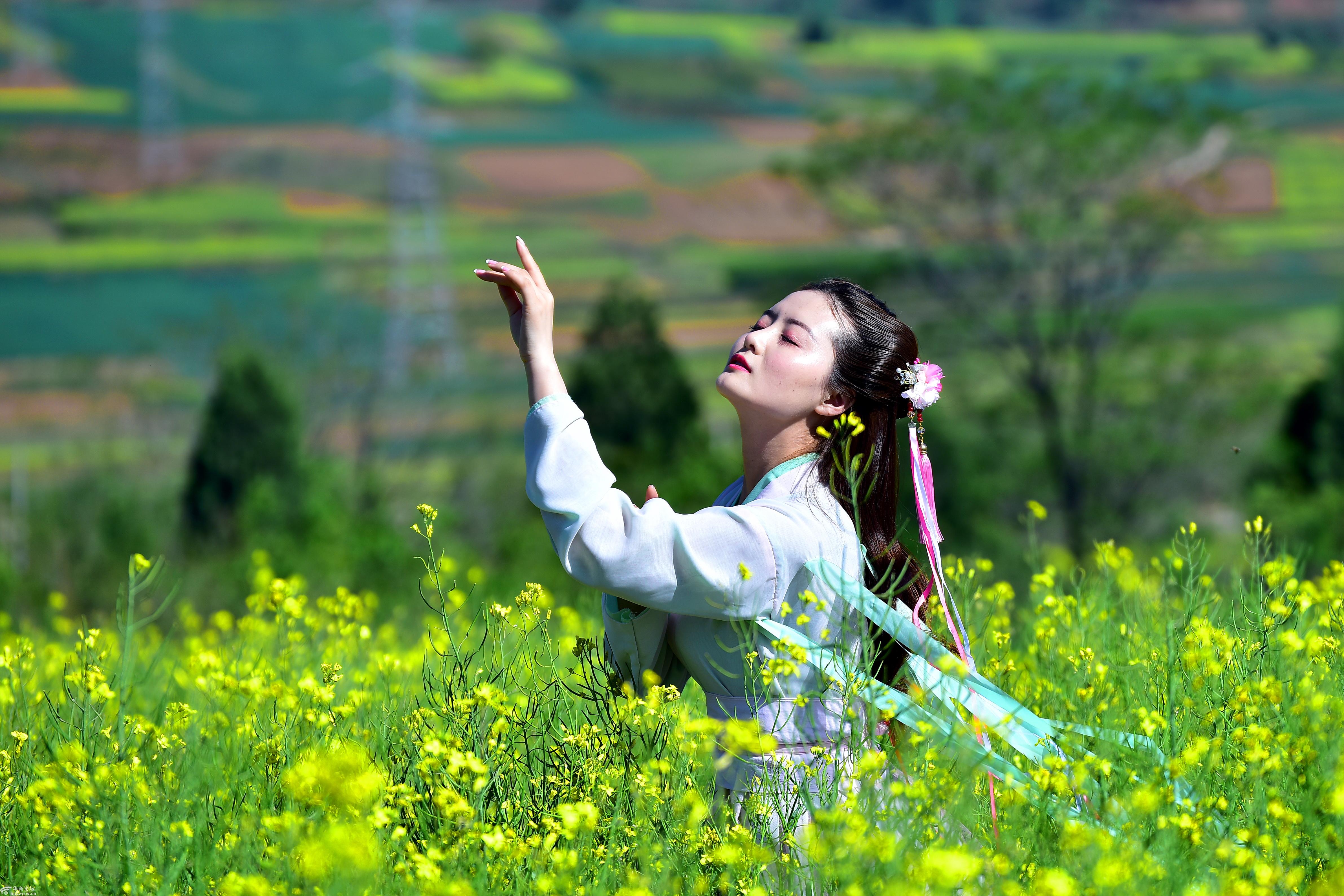 【新絲路旅行】4月11/12日 武功油菜花,姜嫄水鄉, 楊凌農大賞牡丹一