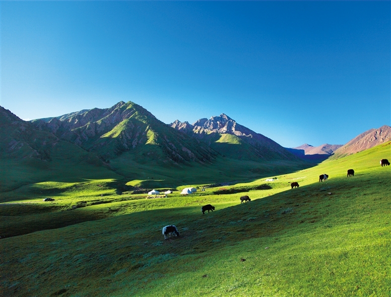 6月15日上午青海省都兰县摄影展将在博物馆底楼举行