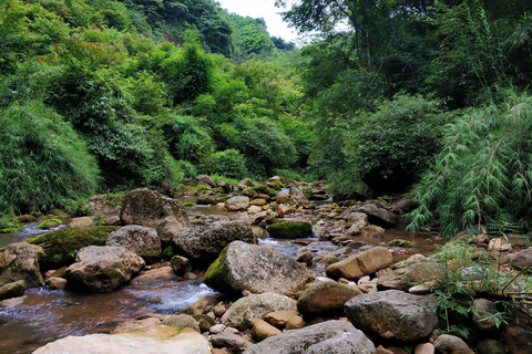 【弯弓崖】耍水纳凉,轻徒步一日游
