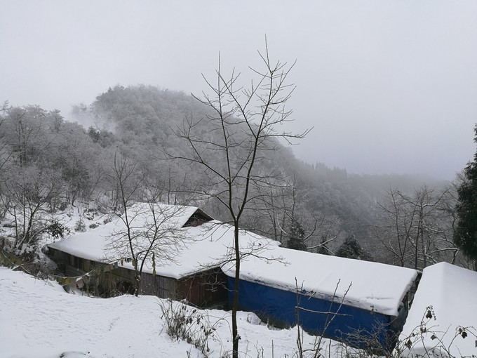 九峰山徒步赏雪景原始秘境森林遇见冬日的九峰山