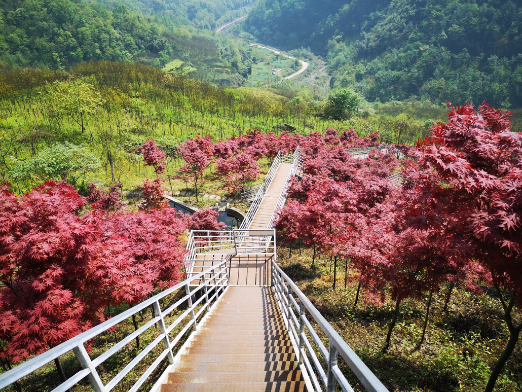 柒月麓山徒步天梯十里竹海天然氧吧摄影轻松徒步6km柴火鸡