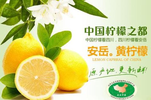 【爱心助农】四川安岳柠檬优果5斤/箱免费送啦!