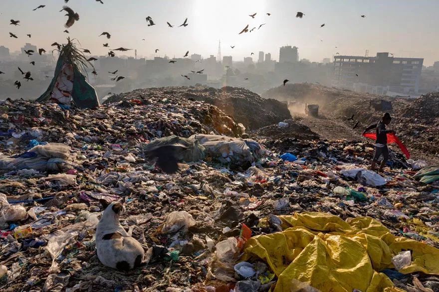 【蓝色守护】塑料垃圾正在毁掉地球:130年历史的《国家地理》画风突变