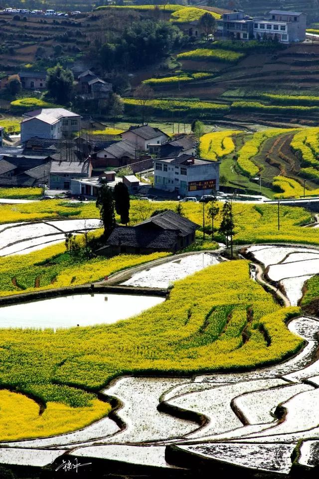 深呼吸户外秦巴山地凤堰梯田又到春花烂漫时324325