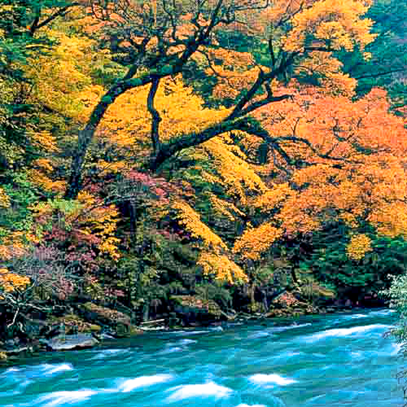 src=http%3A%2F%2Fwww.bjlongqingxia.com.cn%2Fasp-bin%2Fnews_images%2F55.jpg&refer=http%3A%2F%2Fwww.bjlongqingxia.com.jpg