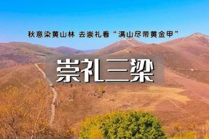 崇礼三梁1日徒步｜五星高山草甸太舞小镇の玉石梁-大鹰梁-喜鹊梁15公里环线穿越<初中级>