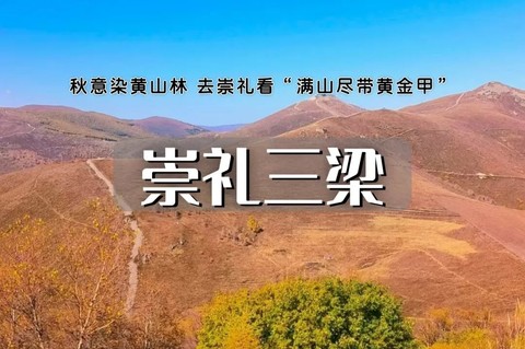 崇礼三梁1日徒步｜五星高山草甸太舞小镇の玉石梁-大鹰梁-喜鹊梁15公里环线穿越<初中级>