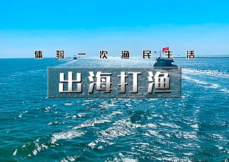 周末1日｜出海打渔｜渤海湾包船出海の体验一次渔民生活-现场加工品新鲜海鲜