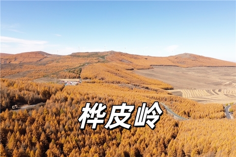 1日｜桦皮岭｜绚丽秋景の草原天路-9公里徒步穿越