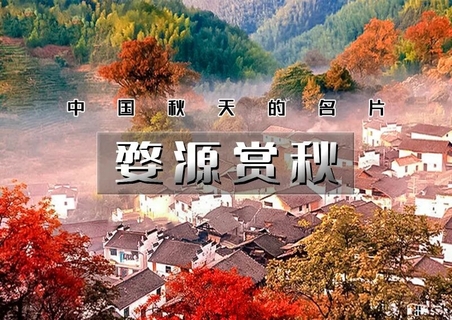 周末2日｜婺源赏秋｜打卡婺女洲-篁岭晒秋-石城晨雾-菊径村-虹关村-察关村-景德镇陶溪川
