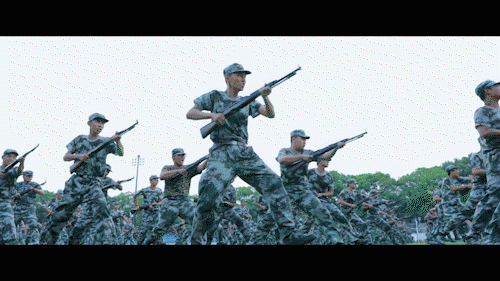 500_281gif 动态图 动图