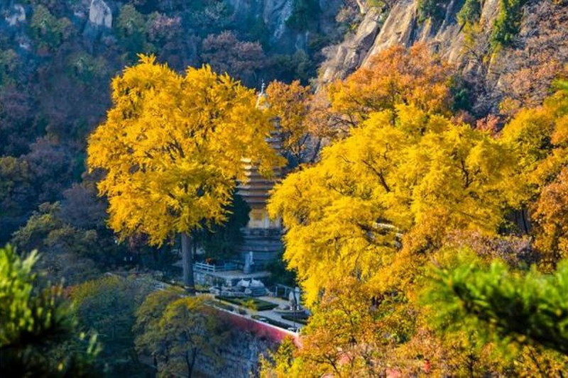 这个秋天 一定要去盘山景区转一转.