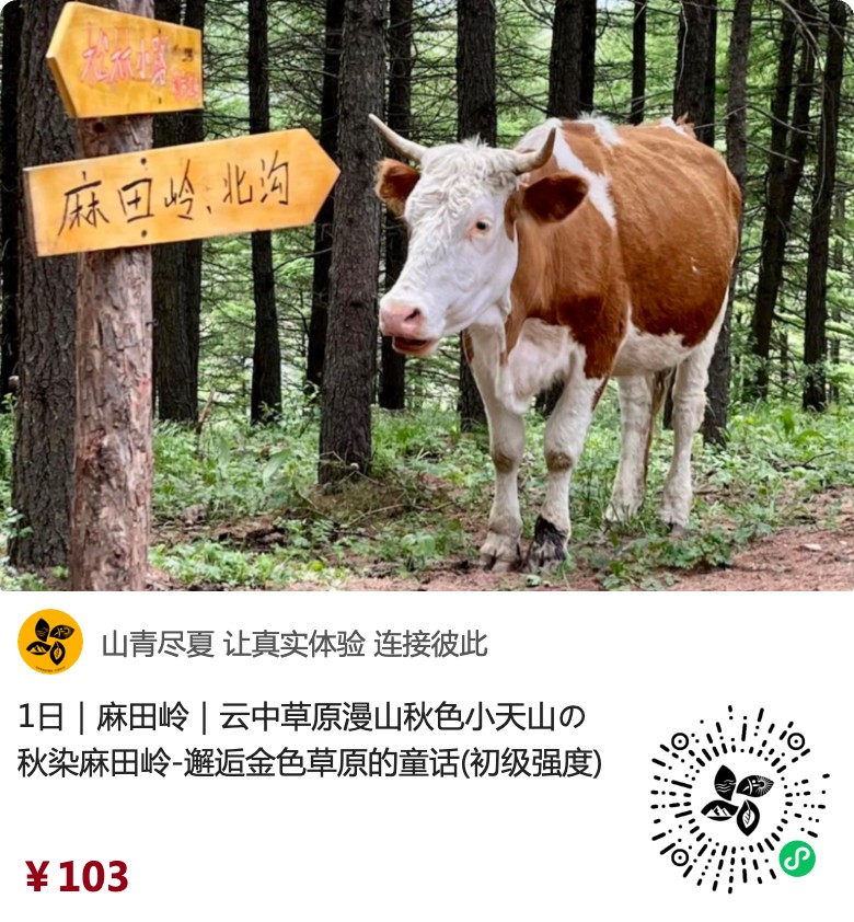 麻田岭原生小程序入口