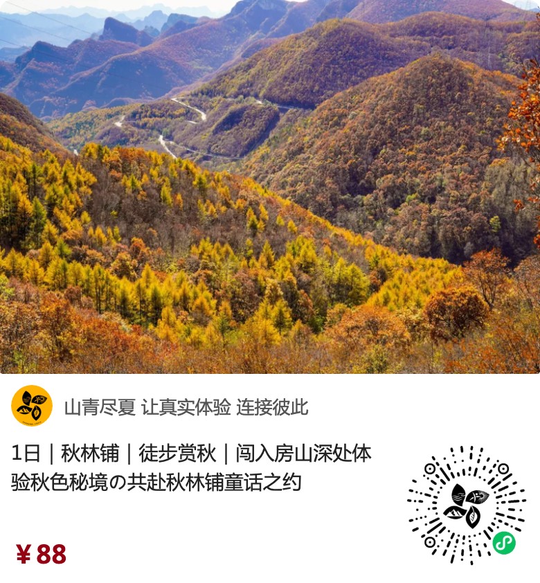 秋林铺原生小程序入口