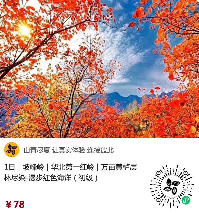 坡峰岭原生小程序入口