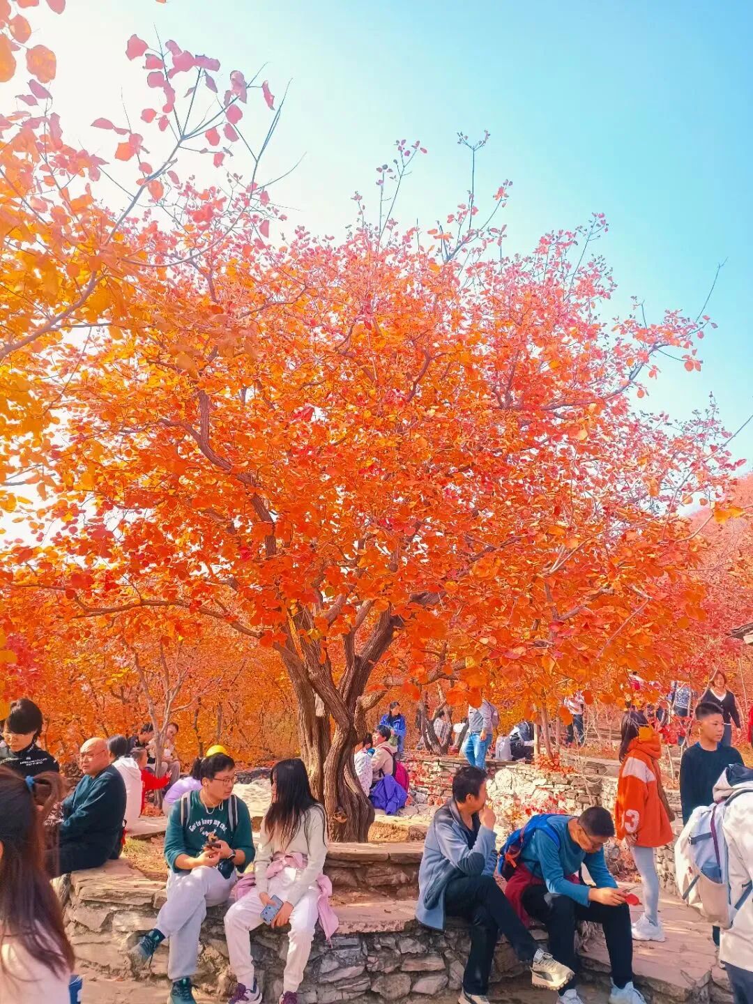 坡峰岭