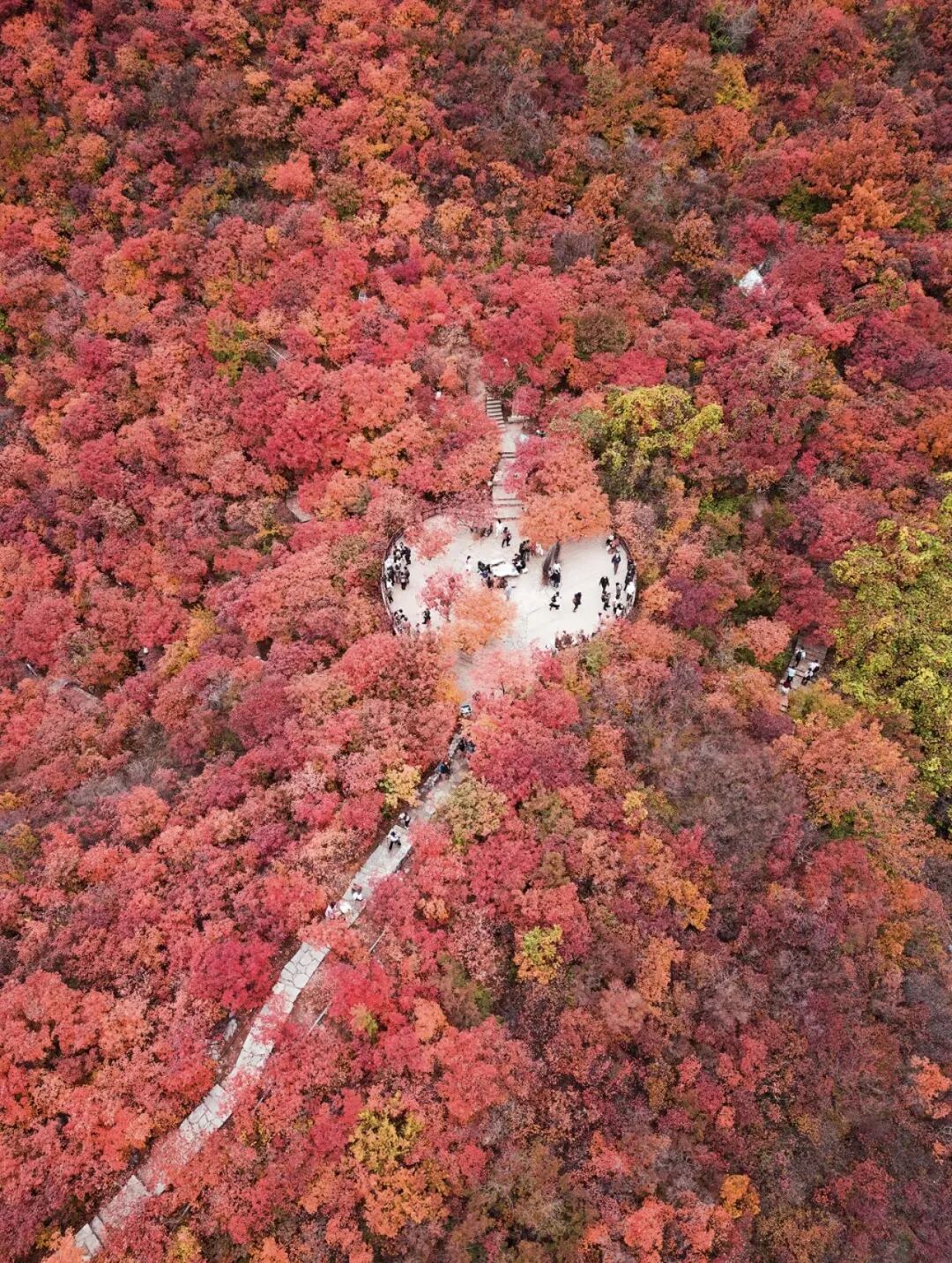 坡峰岭