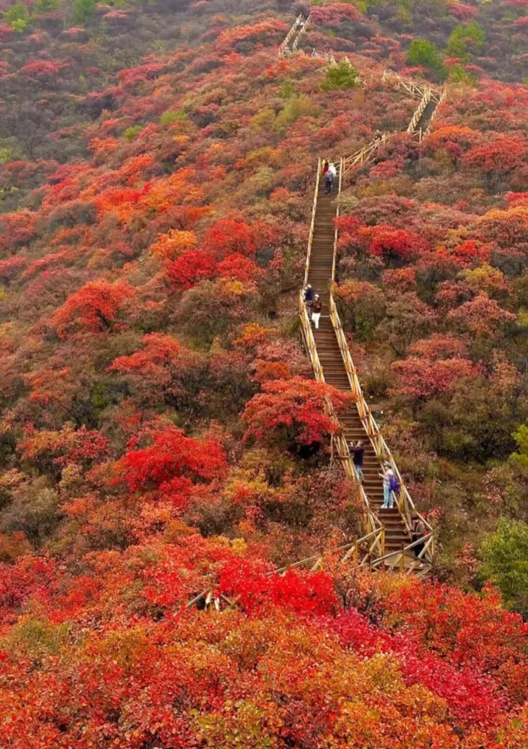 坡峰岭