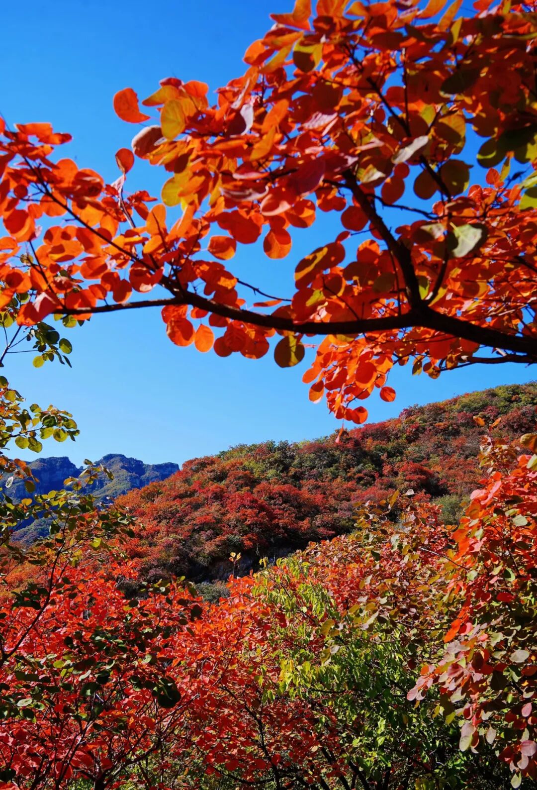 坡峰岭