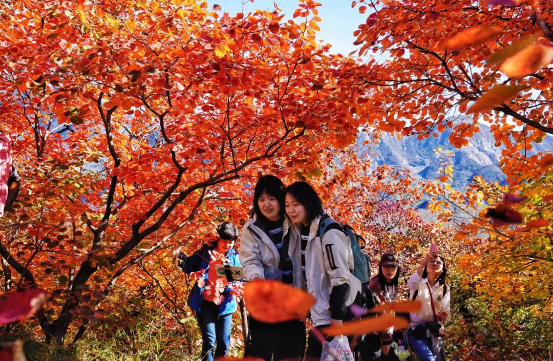 坡峰岭