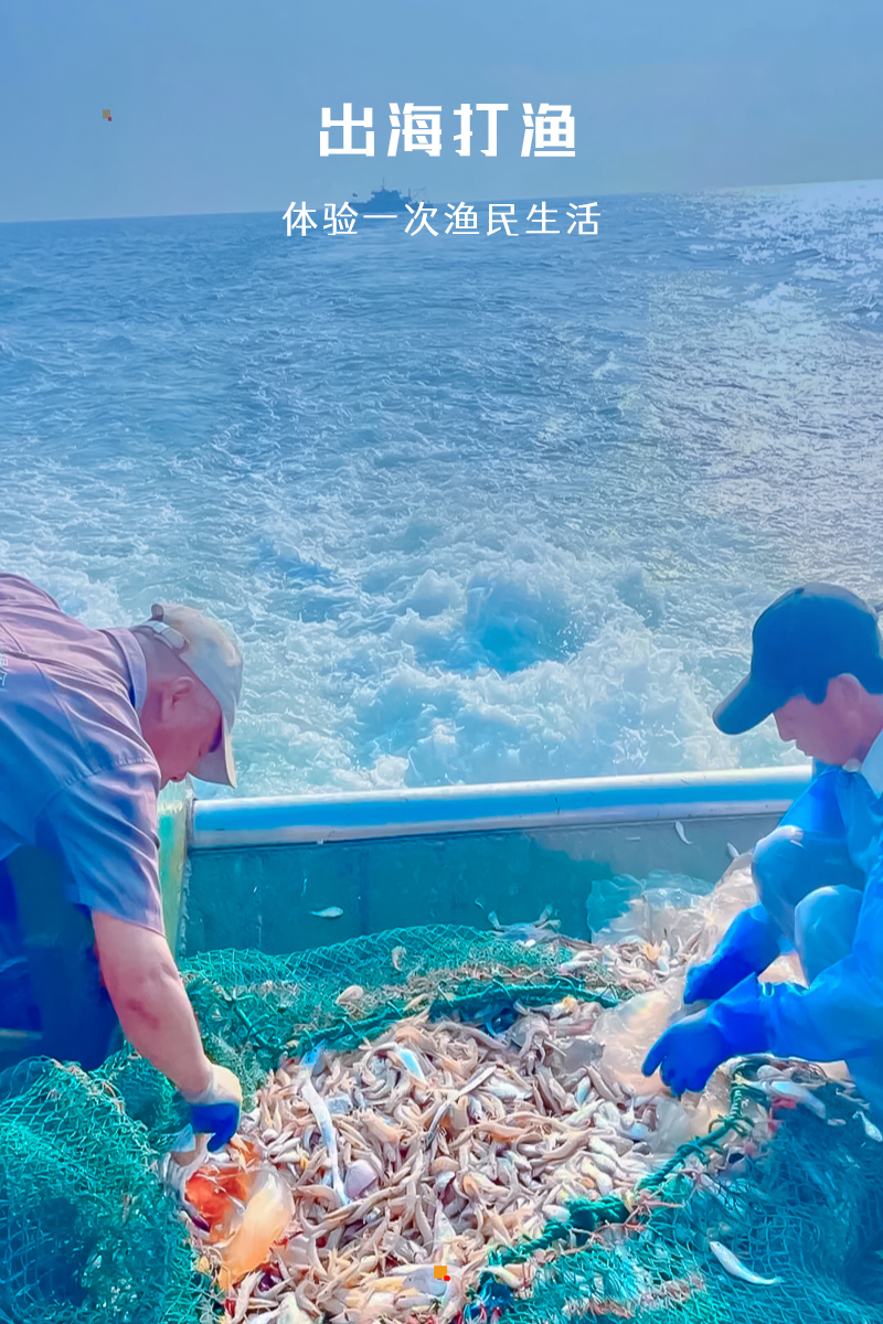 天津北塘